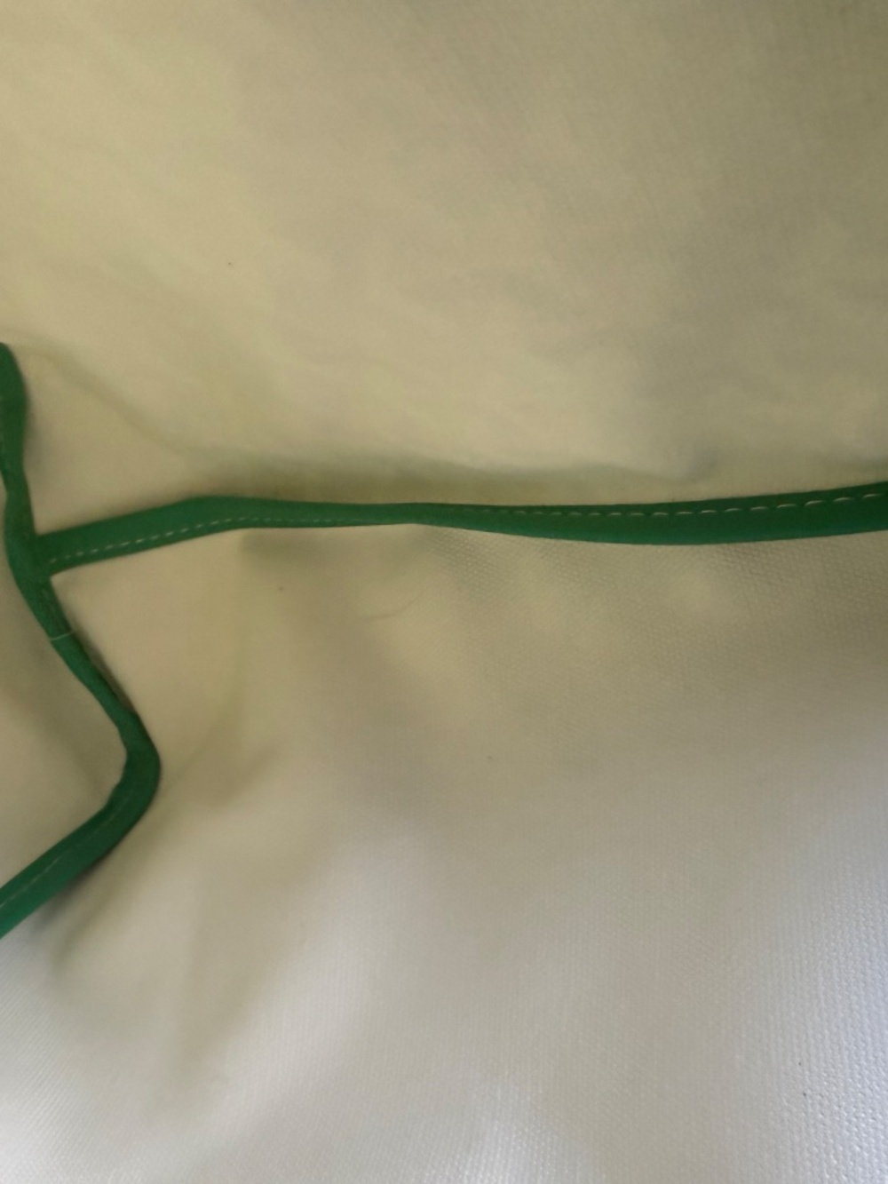 Goyard Meadow Green Boheme PM Hobo Bag - Read Description - Picture 13 of 13